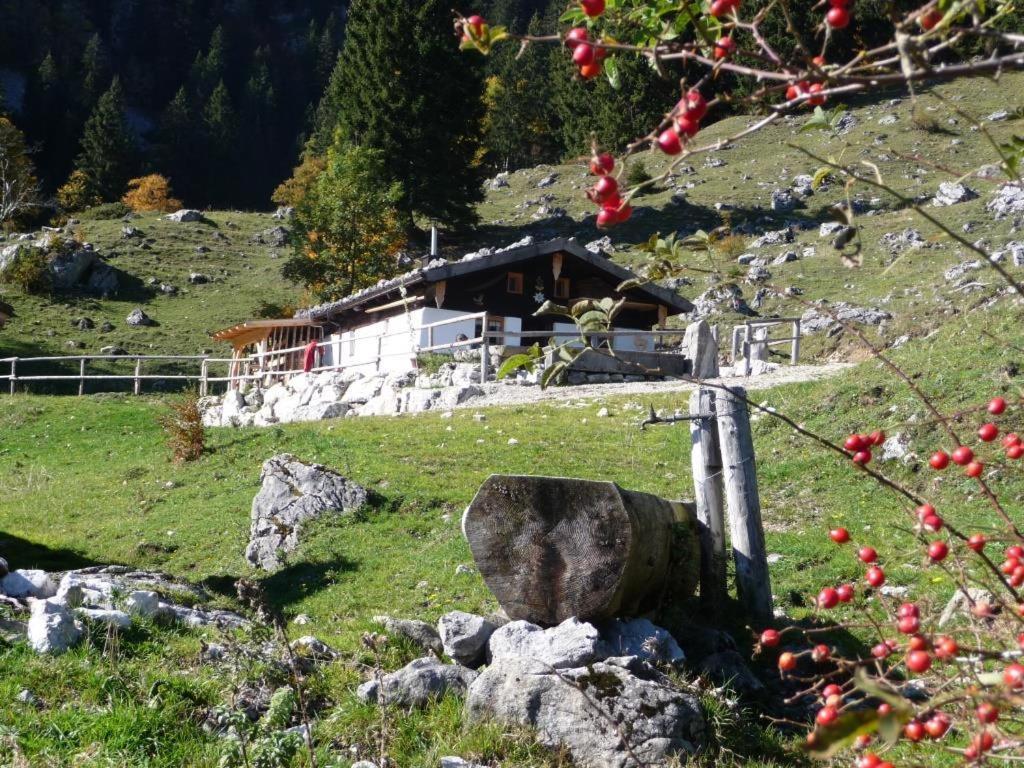 Beim Lenz